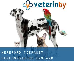 Hereford tierarzt (Herefordshire, England)