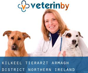 Kilkeel tierarzt (Armagh District, Northern Ireland)