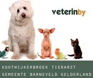 Kootwijkerbroek tierarzt (Gemeente Barneveld, Gelderland)
