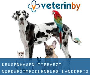 Krusenhagen tierarzt (Nordwestmecklenburg Landkreis, Mecklenburg-Vorpommern)