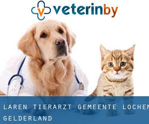 Laren tierarzt (Gemeente Lochem, Gelderland)
