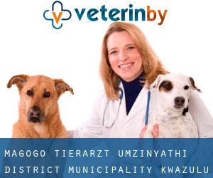 Magogo tierarzt (uMzinyathi District Municipality, KwaZulu-Natal)