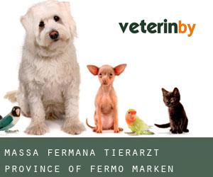 Massa Fermana tierarzt (Province of Fermo, Marken)