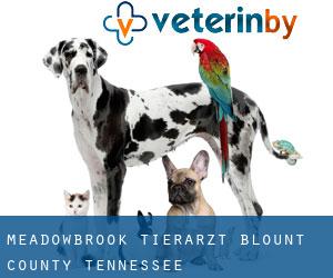 Meadowbrook tierarzt (Blount County, Tennessee)