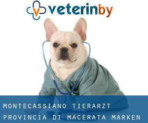 Montecassiano tierarzt (Provincia di Macerata, Marken)