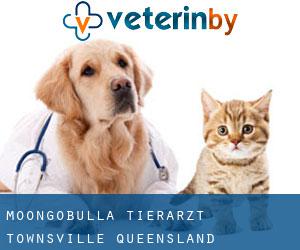 Moongobulla tierarzt (Townsville, Queensland)