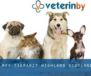 Moy tierarzt (Highland, Scotland)