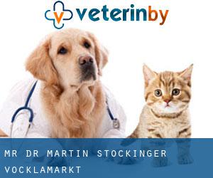 Mr. Dr. Martin Stockinger (Vöcklamarkt)