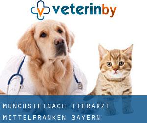 Münchsteinach tierarzt (Mittelfranken, Bayern)