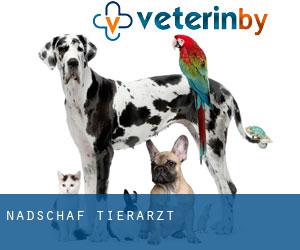 Nadschaf tierarzt Nadschaf tierarzt