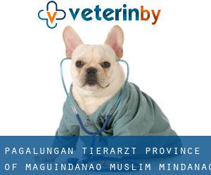 Pagaluñgan tierarzt (Province of Maguindanao, Muslim Mindanao)