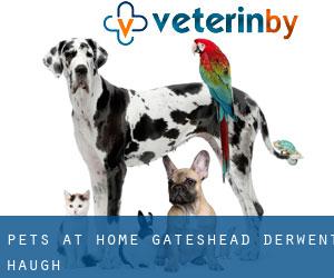 Pets at Home Gateshead (Derwent Haugh)