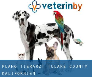 Plano tierarzt (Tulare County, Kalifornien)