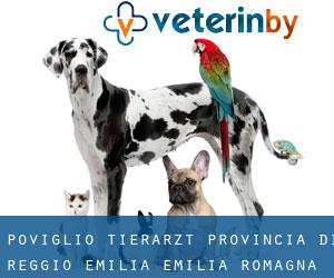 Poviglio tierarzt (Provincia di Reggio Emilia, Emilia-Romagna)