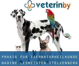 Praxis für Tiernaturheilkunde - Nadine Lesmeister (Stelzenberg)