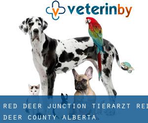 Red Deer Junction tierarzt (Red Deer County, Alberta)