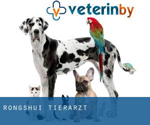 Rongshui tierarzt Rongshui tierarzt