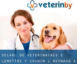 Selarl de vétérinaires E-Lemettre Y-Cochin L-Reynaud A-Chauvigné (La Canardière)