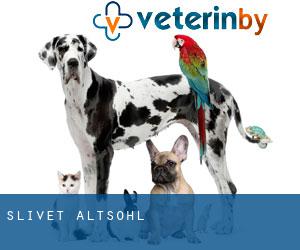 Slivet (Altsohl)