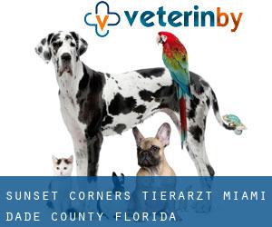 Sunset Corners tierarzt (Miami-Dade County, Florida)