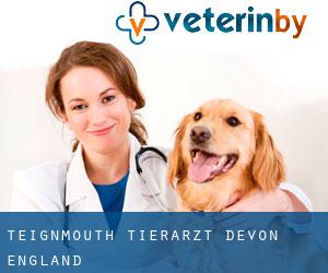 Teignmouth tierarzt (Devon, England)