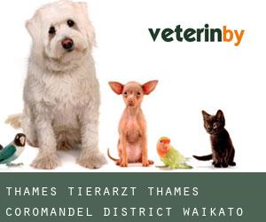 Thames tierarzt (Thames-Coromandel District, Waikato)