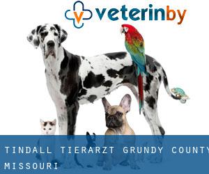 Tindall tierarzt (Grundy County, Missouri)