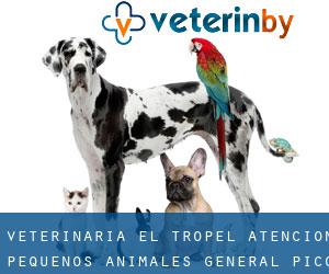 Veterinaria el Tropel Atencion Pequeños Animales (General Pico)