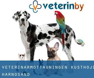 Veterinärmottagningen Kusthöjd (Härnösand)