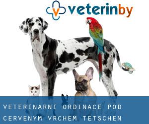 Veterinární ordinace Pod Červeným Vrchem (Tetschen)