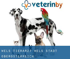 Wels tierarzt (Wels (Stadt), Oberösterreich) Wels tierarzt (Wels (Stadt), Oberösterreich)