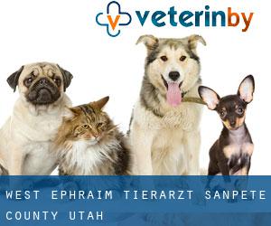 West Ephraim tierarzt (Sanpete County, Utah)