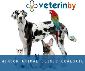 Winsor Animal Clinic (Coalgate)