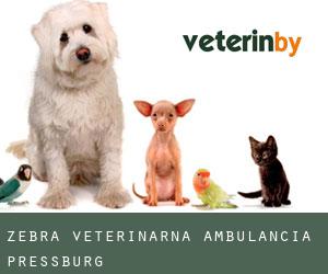ZEBRA veterinárna ambulancia (Pressburg)